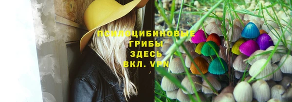 мдма Заводоуковск