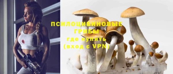 спиды Заволжье